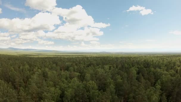 Um drone aéreo disparou sobre a floresta. Drone voa para a frente acima das copas das árvores — Vídeo de Stock