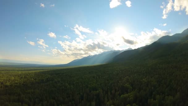 Légi felvétel az erdő fölött. Repülés a hegyekbe. Drone legyek előre — Stock videók