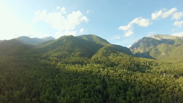 Aerial shot above the forest. Mountain panorama. Drone rotates over green trees — Stock Video