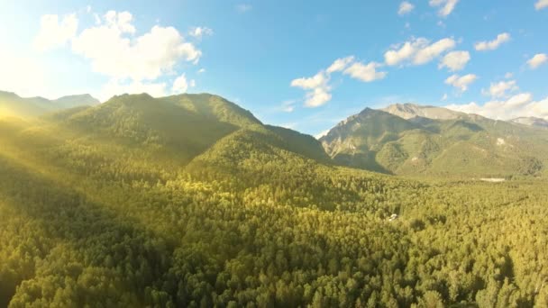 Aerial shot above the forest. Flight along the mountains. Panning to the left — Stock Video