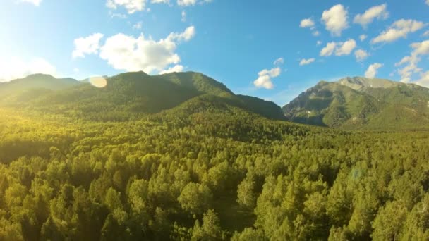 Légi felvétel a hegyekben. Drone emelkedik ki az erdő, a naplemente fölött — Stock videók