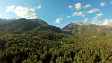 Hava atış dağlarda. Orman yukarıda dron yükselişi kadar