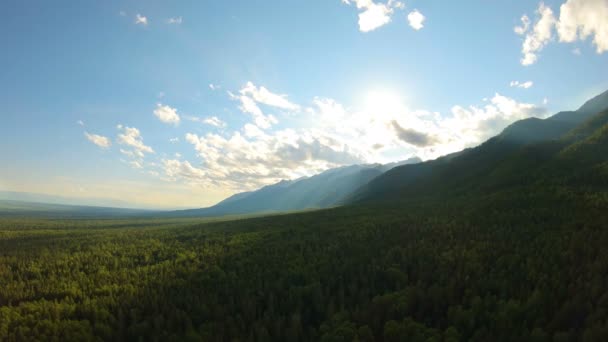 Κεραία βολή στα βουνά. Πλανάται πάνω από το δάσος στο ηλιοβασίλεμα — Αρχείο Βίντεο