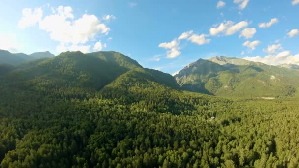 Luchtfoto schot boven het bos. Vlucht langs de bergen. Naar links pannen — Stockvideo