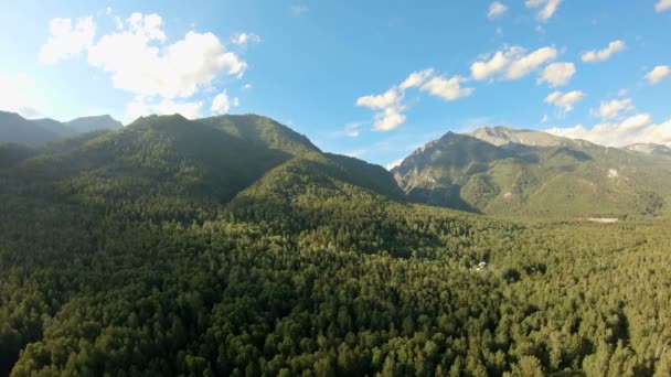 空中射击在森林上方 沿着山飞行 向左平移 无人机飞越绿树 美丽的风景 阳光和蓝天与白云 — 图库视频影像