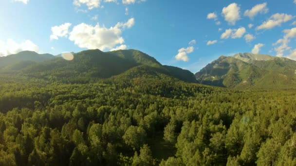 Aerial strzał w górach. Drone wznoszą się nad lasem — Wideo stockowe