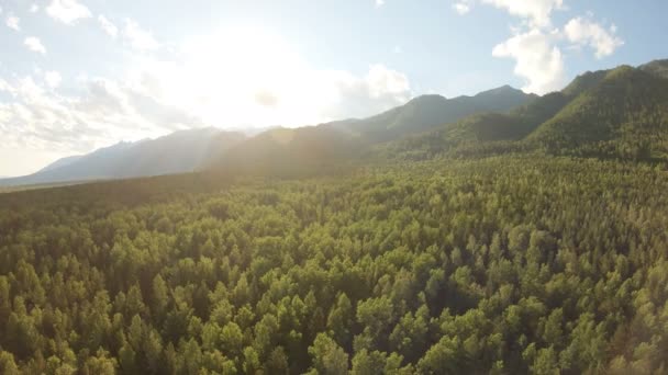 Foto aérea de hermoso paisaje de montaña. Drone volando por encima del bosque — Vídeos de Stock