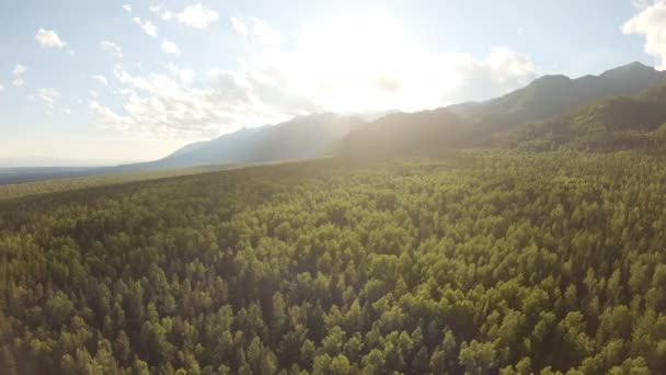 Letecký snímek krásné horské krajiny. Drone flying dolů nad lesem — Stock video