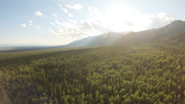 Vue aérienne d'un magnifique paysage de montagne. Drone volant au-dessus de la forêt — Video
