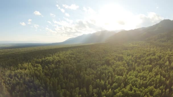 Foto aérea de hermoso paisaje de montaña. Drone flotando sobre el bosque — Vídeos de Stock