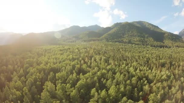 Güzel dağ manzarası hava atış. Orman yukarıda dron yükselişi kadar — Stok video