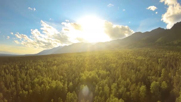 Вид з повітря на дивовижний гірський пейзаж на заході сонця. Сонце світить на деревах — стокове відео