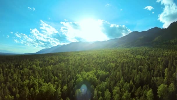 Luchtfoto van geweldig berglandschap bij zonsondergang. Licht van de zon op de boomtoppen — Stockvideo