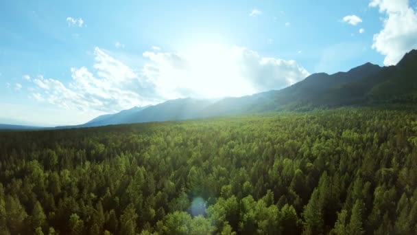 Flygfoto över fantastiska bergslandskap i solnedgången. Solen lyser trädtopparna — Stockvideo