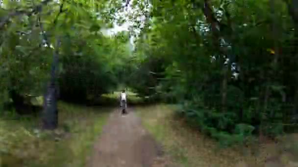 Na kole v parku. Dívka na koni na kole na lesní cestě velmi rychle. Časová prodleva — Stock video