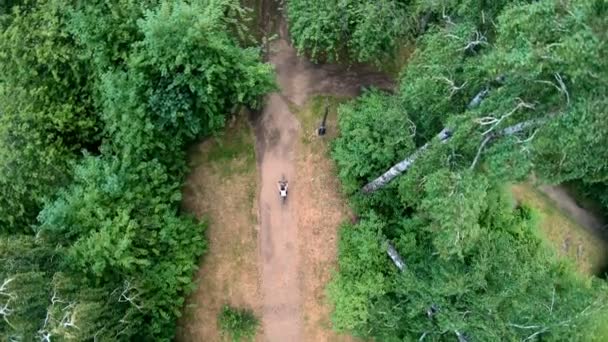 Vista aérea do ciclismo no parque. Vertical, de cima para baixo — Vídeo de Stock