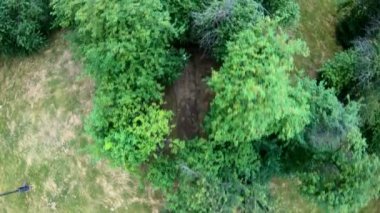 Parkta bisiklet havadan görünümü. Kız bir orman iz üzerinde bisiklete binmek. Dikey, yukarıdan aşağıya, ağır çekim