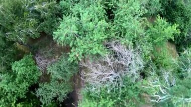 Parkta bisiklet havadan görünümü. Dikey, yukarıdan aşağıya