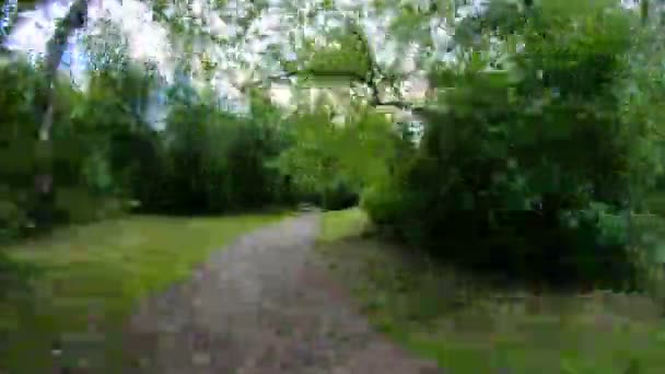 Caminando por el parque. Movimiento a lo largo del sendero del bosque. POV — Vídeo de stock