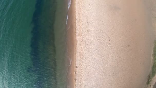 Vue aérienne de la rive du lac Baïkal. Plage de sable — Video