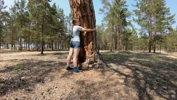 Девушка обнимает большое дерево — стоковое видео