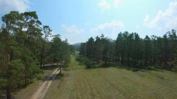 The drone flies up, filming the girl walking on a country road — Stock Video