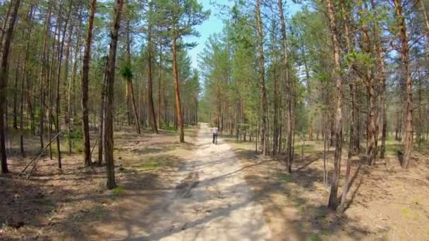 Chica caminando en el camino del bosque — Vídeo de stock