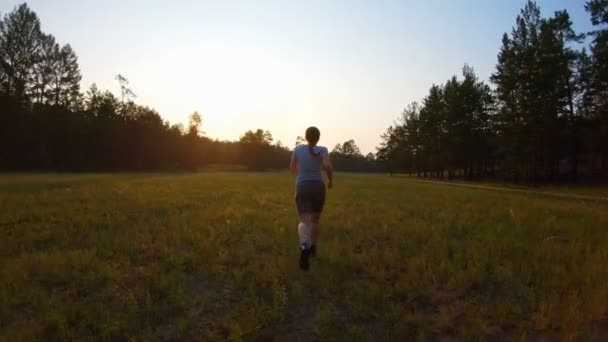 Chica corre a través del campo al atardecer — Vídeos de Stock