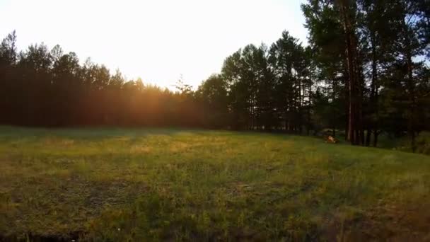 Drone vliegt terug laag over de clearing, stream, en groen gras bij zonsondergang — Stockvideo