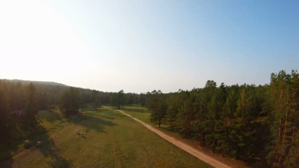 Drone vuela sobre el pastizal con rebaño de vacas al atardecer — Vídeos de Stock