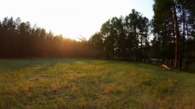 Drone gün batımında alan, akarsu ve yeşil çim üzerinde geri uçar