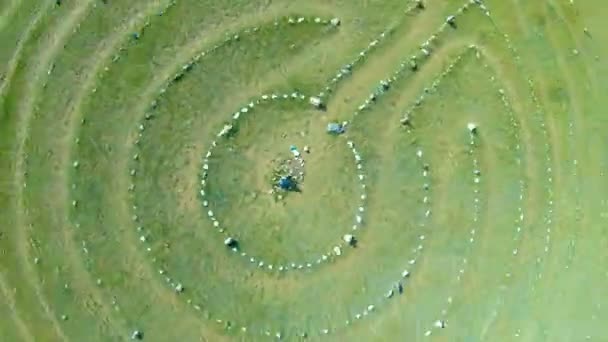 Vue aérienne du labyrinthe de pierre. Boucle — Video