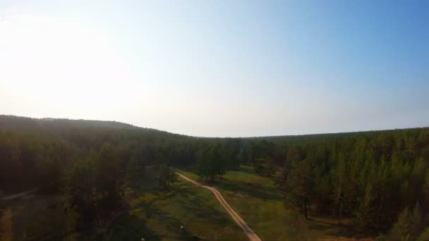 Flygvy över ängen med kor, skog och landsväg — Stockvideo