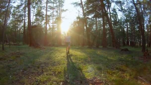 Flicka går genom skogen — Stockvideo