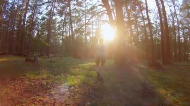 Gün batımında ormanda yürüyen genç kadın