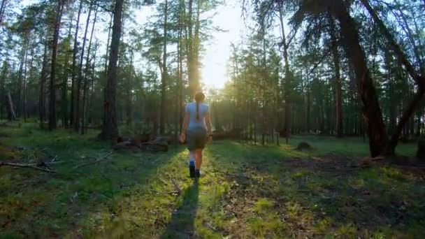 Девушка, идущая по хвойному лесу — стоковое видео