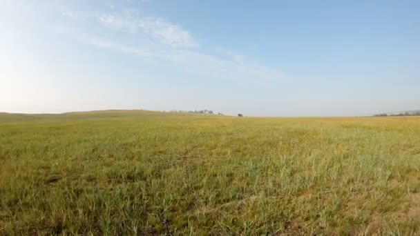 Caminhe pelo campo — Vídeo de Stock