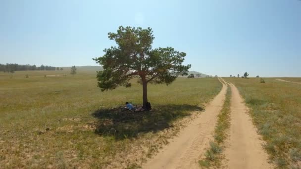 Het meisje ligt onder een eenzame boom en tekent een landschap in het veld — Stockvideo