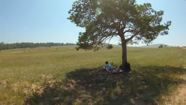 Das Mädchen liegt unter einem Baum und zeichnet eine Landschaft auf dem Feld — Stockvideo