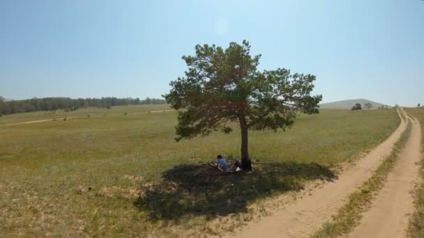 Menina descansando à sombra de uma árvore solitária no campo — Vídeo de Stock