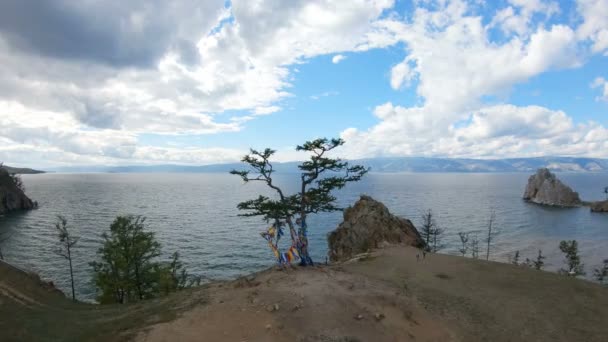 Widok z lotu ptaka na piękne drzewo na brzegu jeziora Bajkał — Wideo stockowe