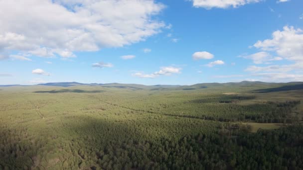 Вид с воздуха на лес — стоковое видео