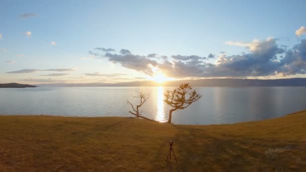 Cámara Trípode Filmando Paisaje Marino Atardecer Disparo Aéreo Árboles Orilla — Vídeo de stock