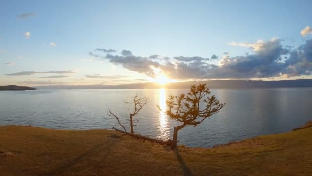 Paisaje Marino Escénico Atardecer Disparo Aéreo Árboles Orilla — Vídeos de Stock