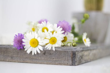 Papatya ve beyaz bir masaya diğer çiçek.