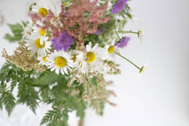 Papatya ve beyaz bir masaya diğer çiçek.