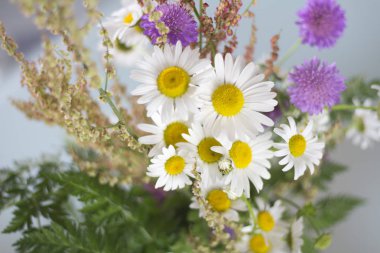 Papatya ve beyaz bir masaya diğer çiçek.