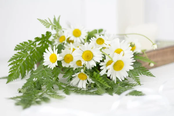 Schöne Gänseblümchen Und Andere Blumen Auf Einem Weißen Tisch — Stockfoto