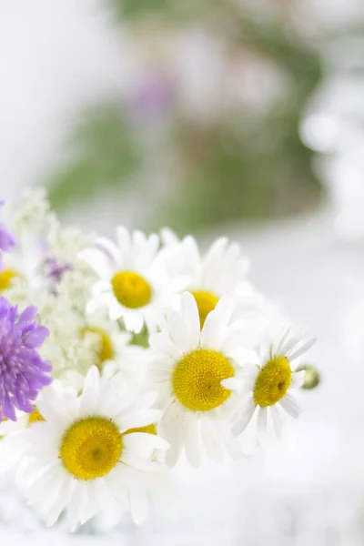 Красивые Ромашки Другие Цветы Белом Столе — стоковое фото