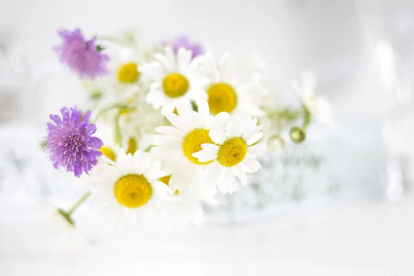 Schöne Gänseblümchen Und Andere Blumen Auf Einem Weißen Tisch — Stockfoto